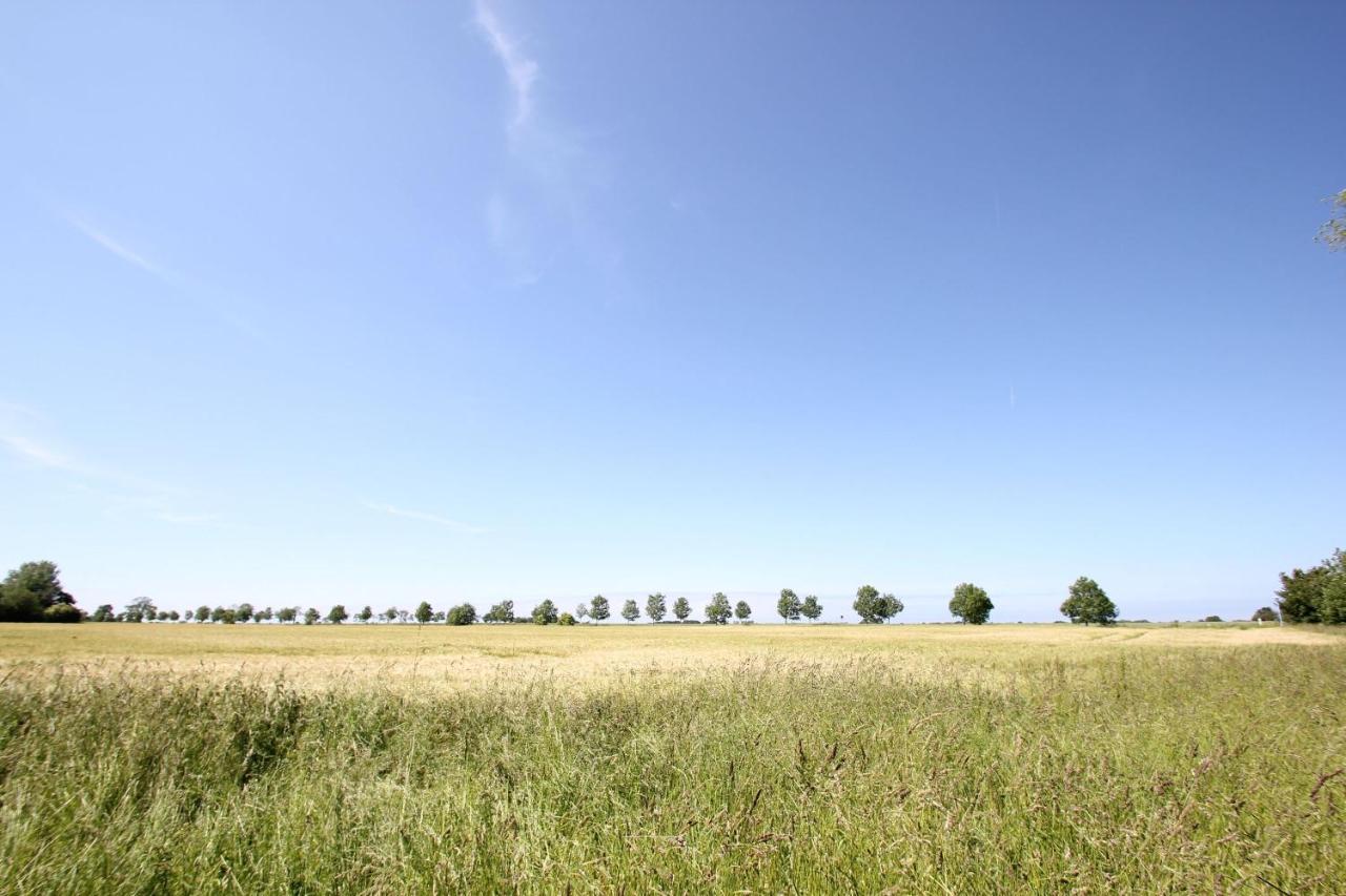 Viel Natur, Idyllische Umgebung, Ruhige Lage - Ferienpark Neddesitz Fewo 299 Exterior foto